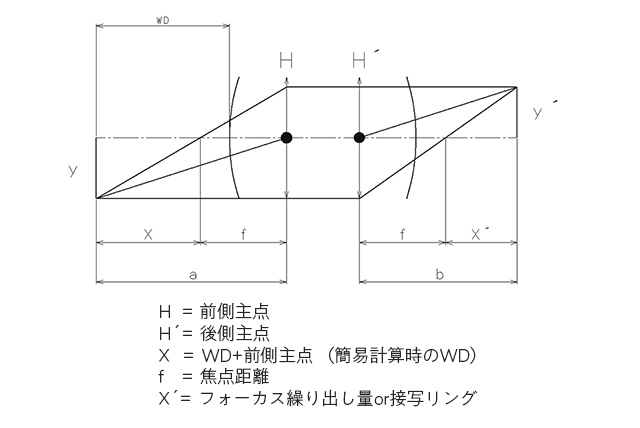 倍率